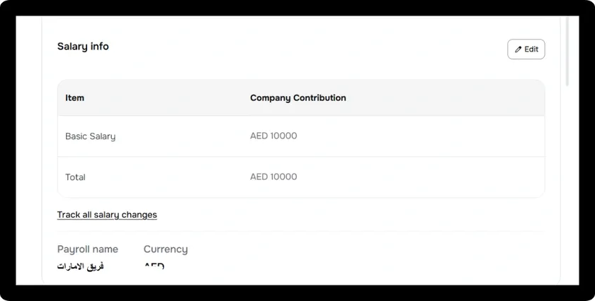Multiple currencies support in payroll